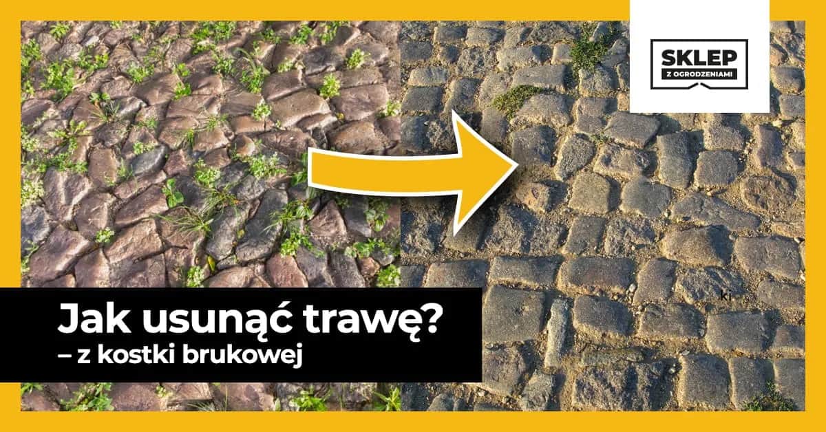 Skuteczne metody na pozbycie się trawy z chodnika bez wysiłku