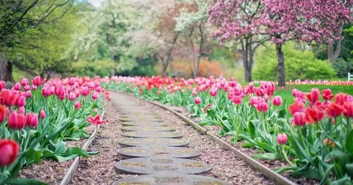 Najlepsze materiały na chodnik w ogrodzie – unikaj kosztownych błędów