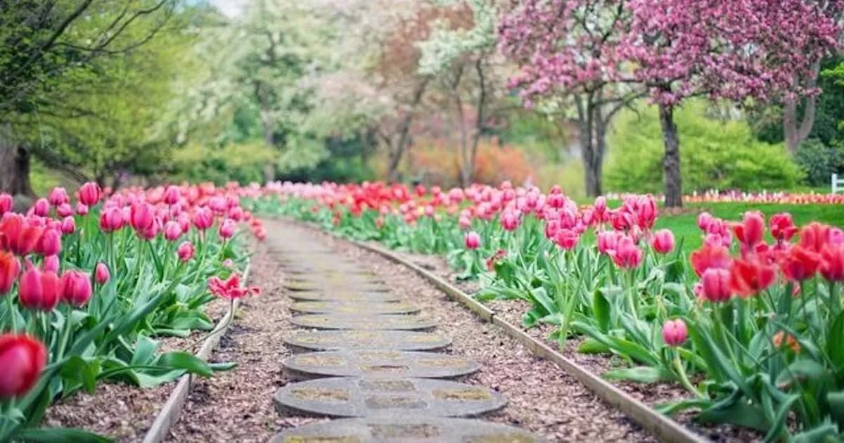 Najlepsze materiały na chodnik w ogrodzie – unikaj kosztownych błędów
