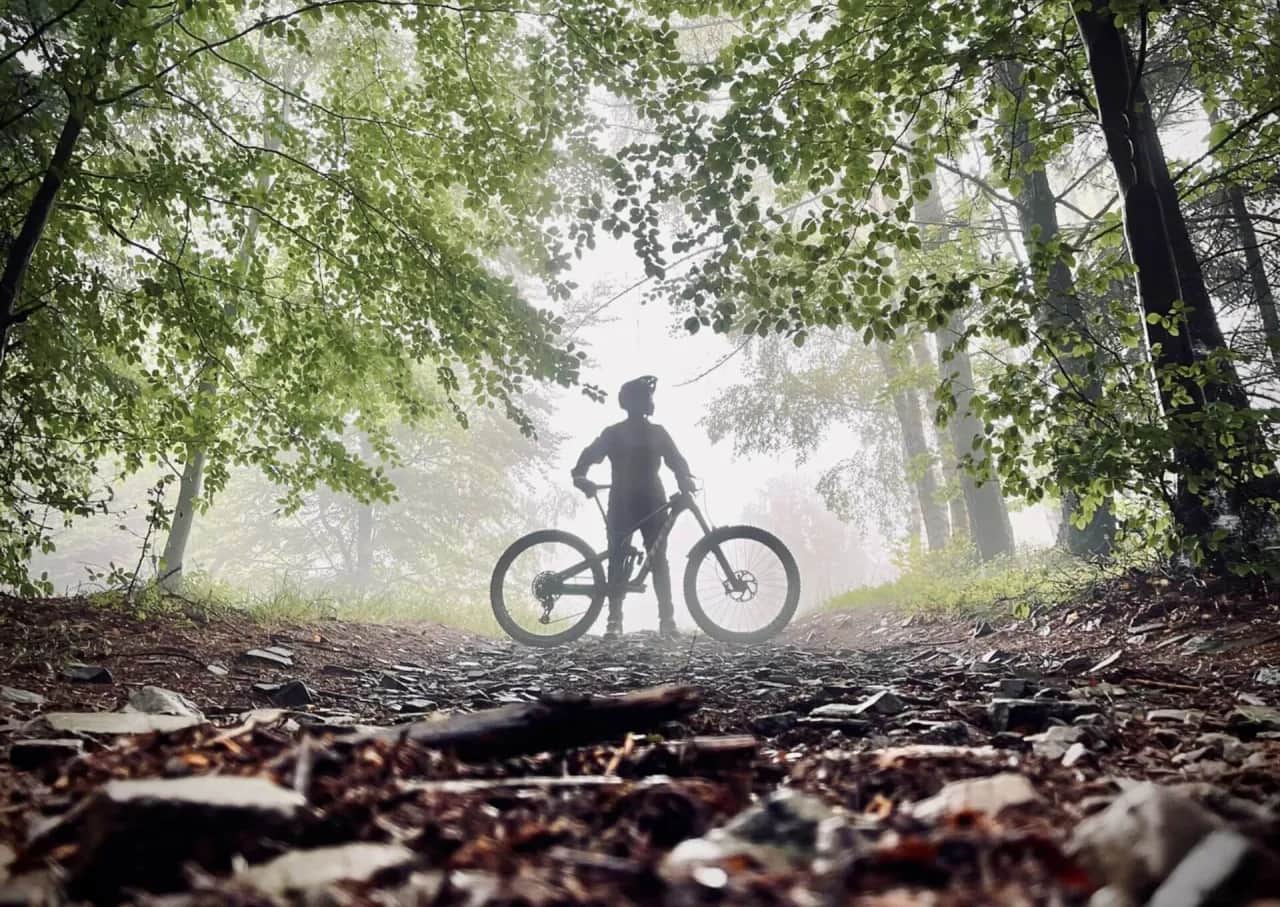 Jaki rower do jazdy po lesie i asfalcie - wybierz idealny model dla siebie