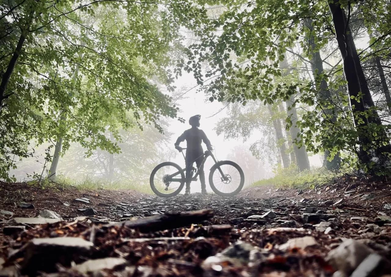 Jaki rower do jazdy po lesie i asfalcie - wybierz idealny model dla siebie