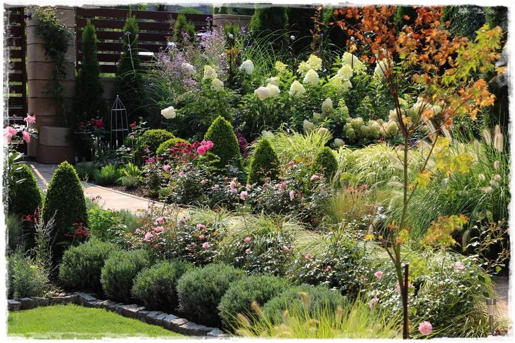 Co posadzić przy chodniku do domu, aby stworzyć piękną przestrzeń?